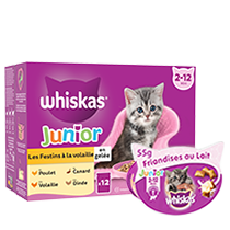 WHISKAS Chatons