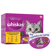 WHISKAS Chats 7 ans et +