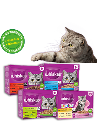 Feeding Brighter Futures