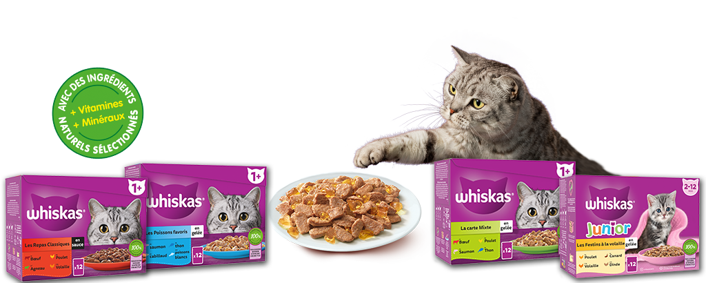 Feeding Brighter Futures