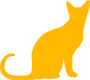 Chats 1 an et + Logo