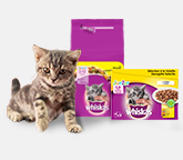Whiskas Junior Produit