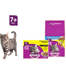 Chat 7 ans et +