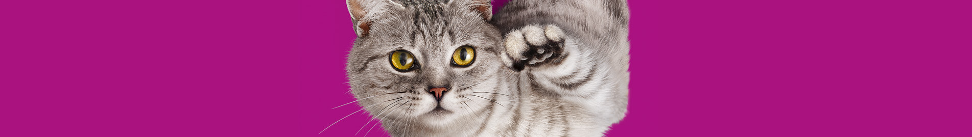 Whiskas® Chats 1 ans et plus